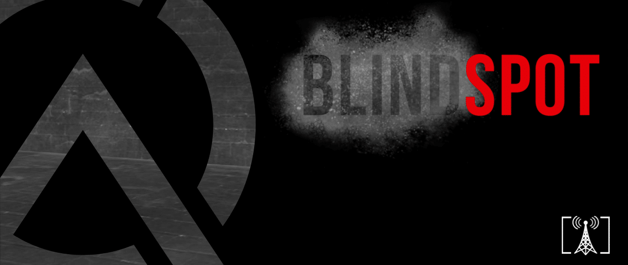 Blindspot - Complete Toolkit for Leaders looking to create impact that ...