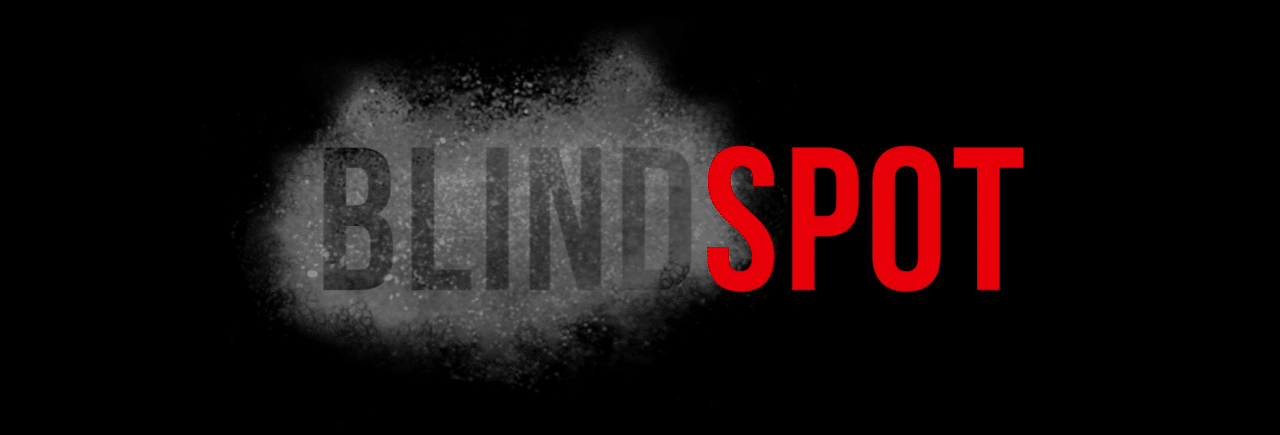 Blindspot - The Complete Toolkit for Leaders Looking to Create Impact ...